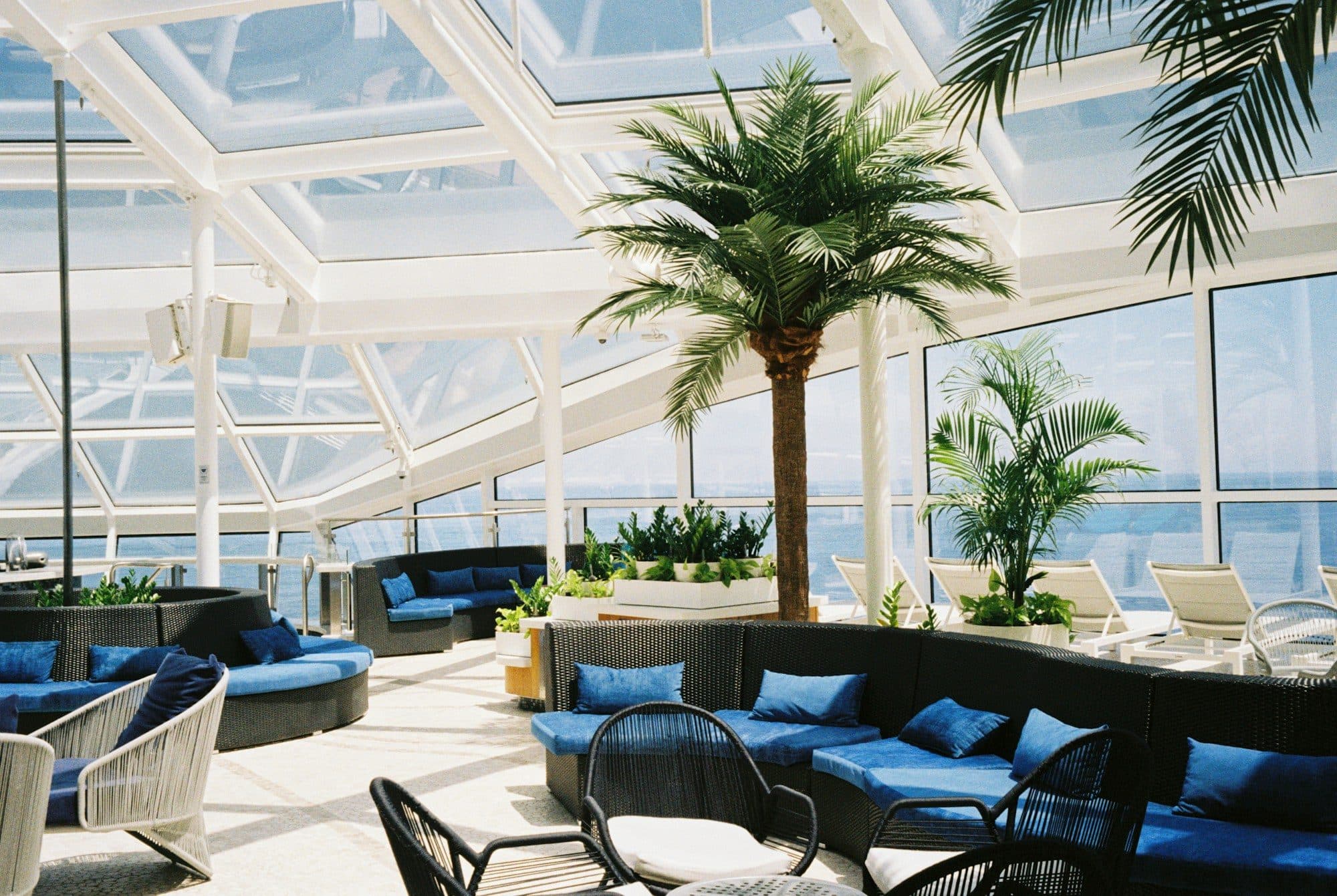 Lounge unter einem hellen Glasdach mit Palmen